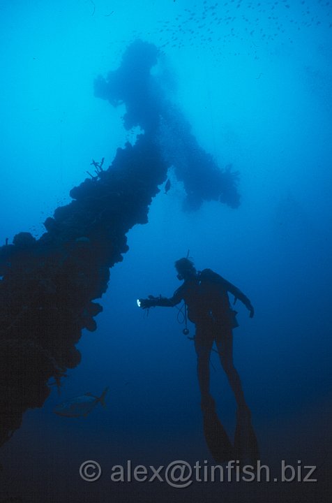 T Mast4.jpg - ohh a fish..!!